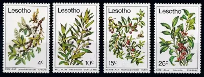 Lesotho 1979 Trees-MNH(**) Lesotho 1979 Trees-MNH(**)