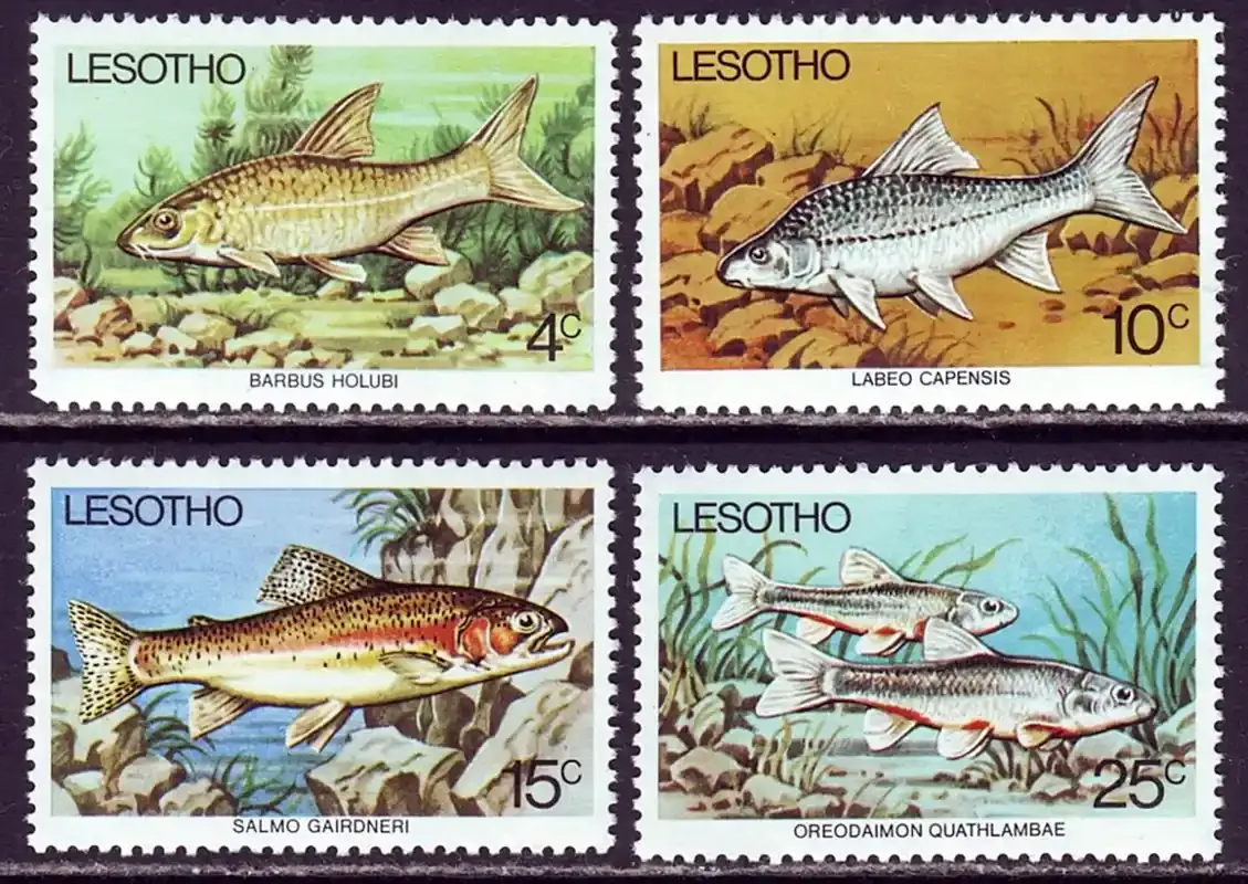 Lesotho 1977 Fish-MNH(**)