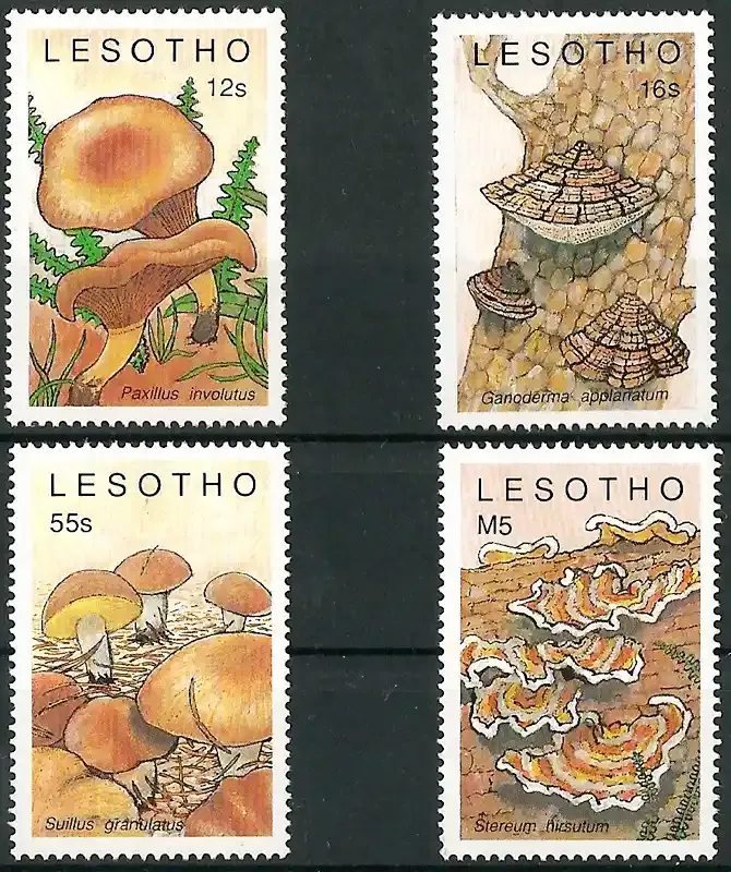 Lesotho 1989 Mushrooms (4v)-MNH(**) Lesotho 1989 Mushrooms (4v)-MNH(**)