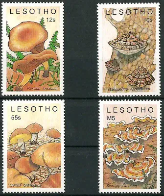 Lesotho 1989 Mushrooms (4v)-MNH(**) Lesotho 1989 Mushrooms (4v)-MNH(**)