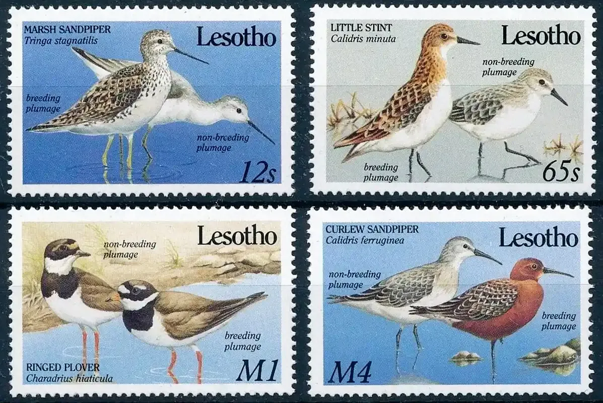 Lesotho 1989 Migrant Birds-MNH(**) Lesotho 1989 Migrant Birds-MNH(**)