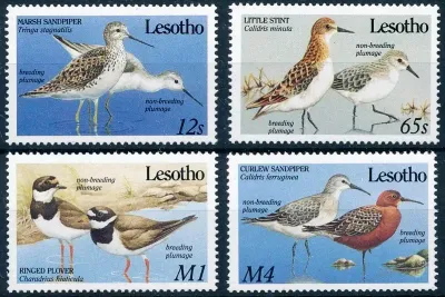 Lesotho 1989 Migrant Birds-MNH(**) Lesotho 1989 Migrant Birds-MNH(**)