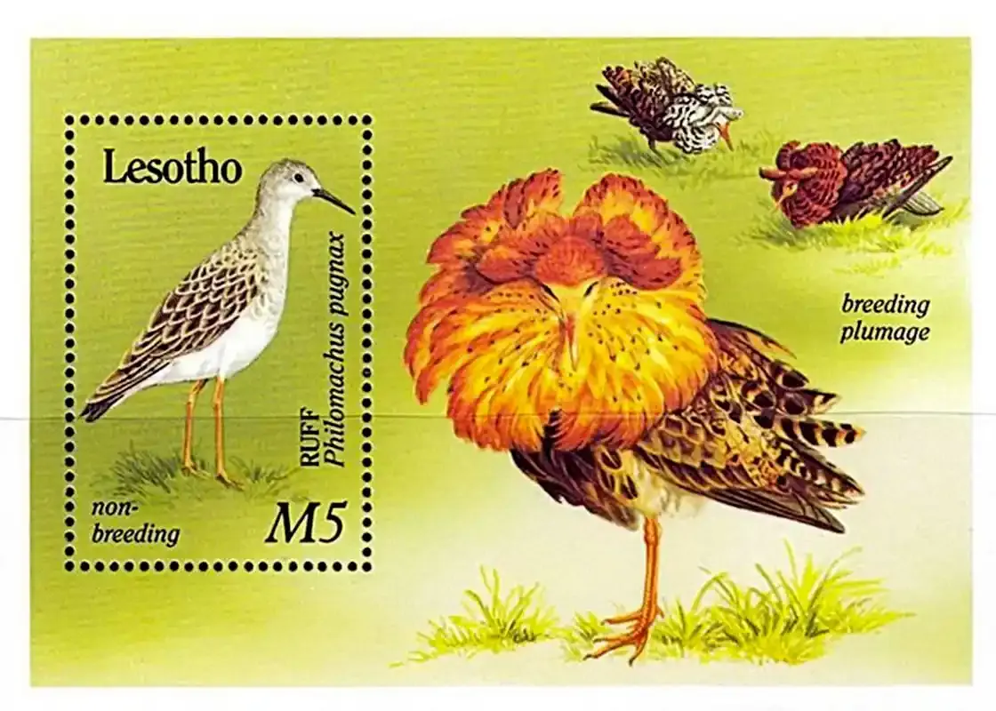 Lesotho 1989 Migrant Birds (ss)-MNH(**) Lesotho 1989 Migrant Birds (ss)-MNH(**)