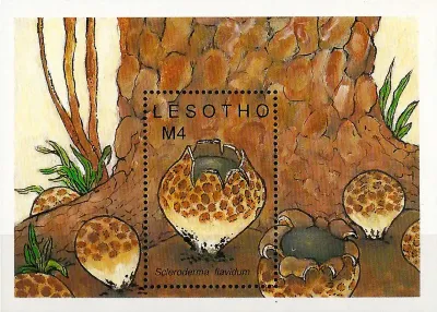 Lesotho 1989 Mushrooms (ss)-MNH(**) Lesotho 1989 Mushrooms (ss)-MNH(**)