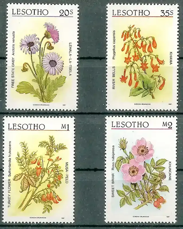 Lesotho 1987 Local Flora, Flowers-MNH(**)