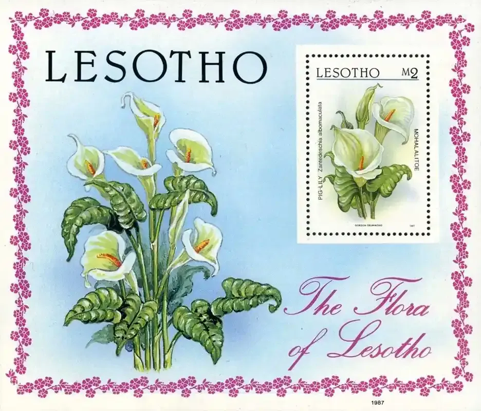 Lesotho 1987 Local Flora, Flowers (ss)-MNH(**)