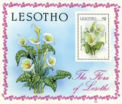 Lesotho 1987 Local Flora, Flowers (ss)-MNH(**) Lesotho 1987 Local Flora, Flowers (ss)-MNH(**)