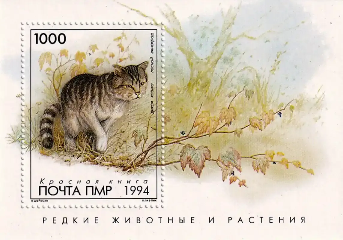Transnistria 1994 Fauna, Cats MNH(**)