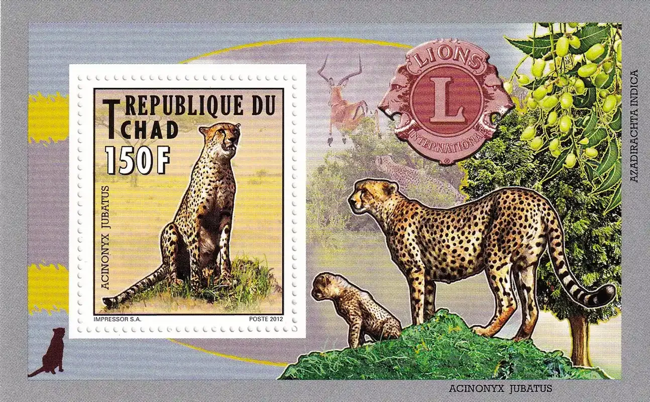 Chad 2012 Fauna, Leopard - Animals Lions International Club-MNH(**)