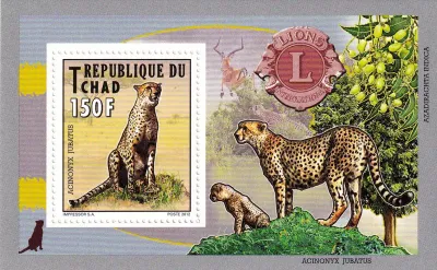 Chad 2012 Fauna, Leopard - Animals Lions International Club-MNH(**)