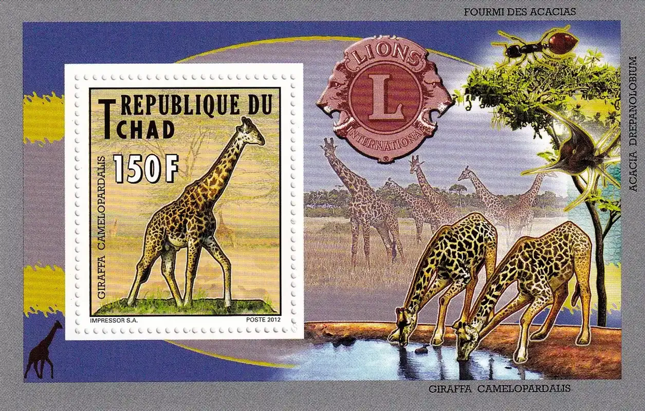 Chad 2012 Fauna, Giraffe - Animals Lions International Club-MNH(**)