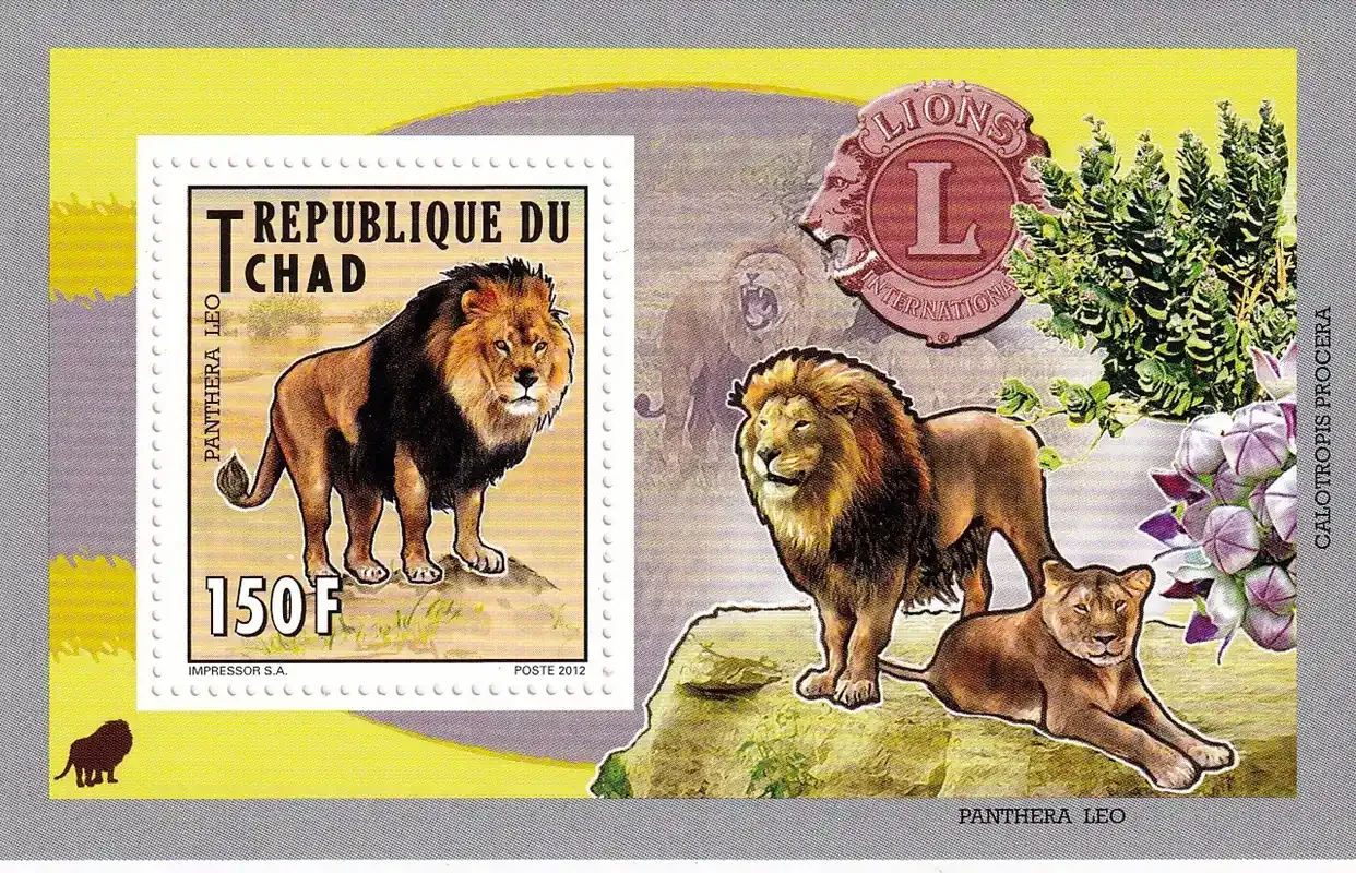 Chad 2012 Fauna, Lion - Animals Lions International Club-MNH(**)