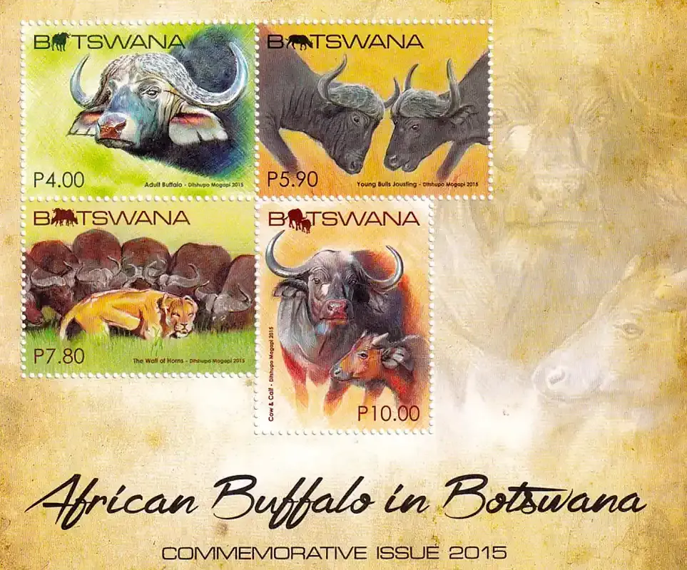 Botswana 2015 African Buffalo in Botswana. MNH
