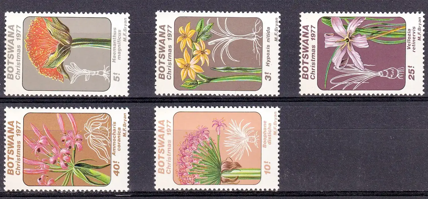 Botswana 1977 Christmas/Lilies-MNH(**)