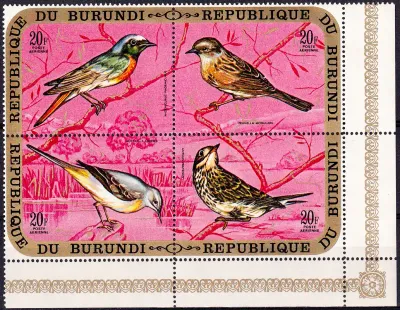 Burundi 1971 Airmail - Birds. MNH Burundi 1971 Airmail - Birds. MNH