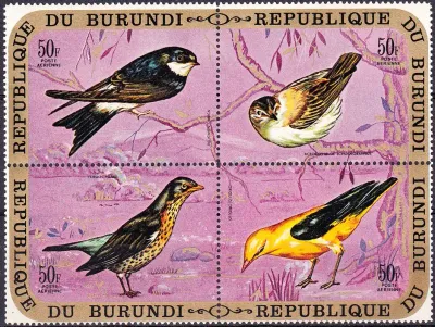 Burundi 1971 Airmail - Birds. MNH Burundi 1971 Airmail - Birds. MNH