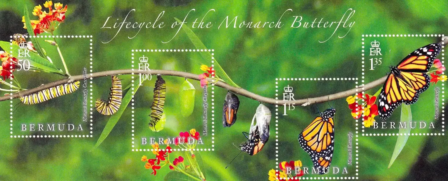 Bermuda 2016 Butterflies - Lifecycle of the Monarch Butterfly. M/Sheet. MNH