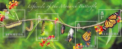 Bermuda 2016 Butterflies - Lifecycle of the Monarch Butterfly. M/Sheet. MNH