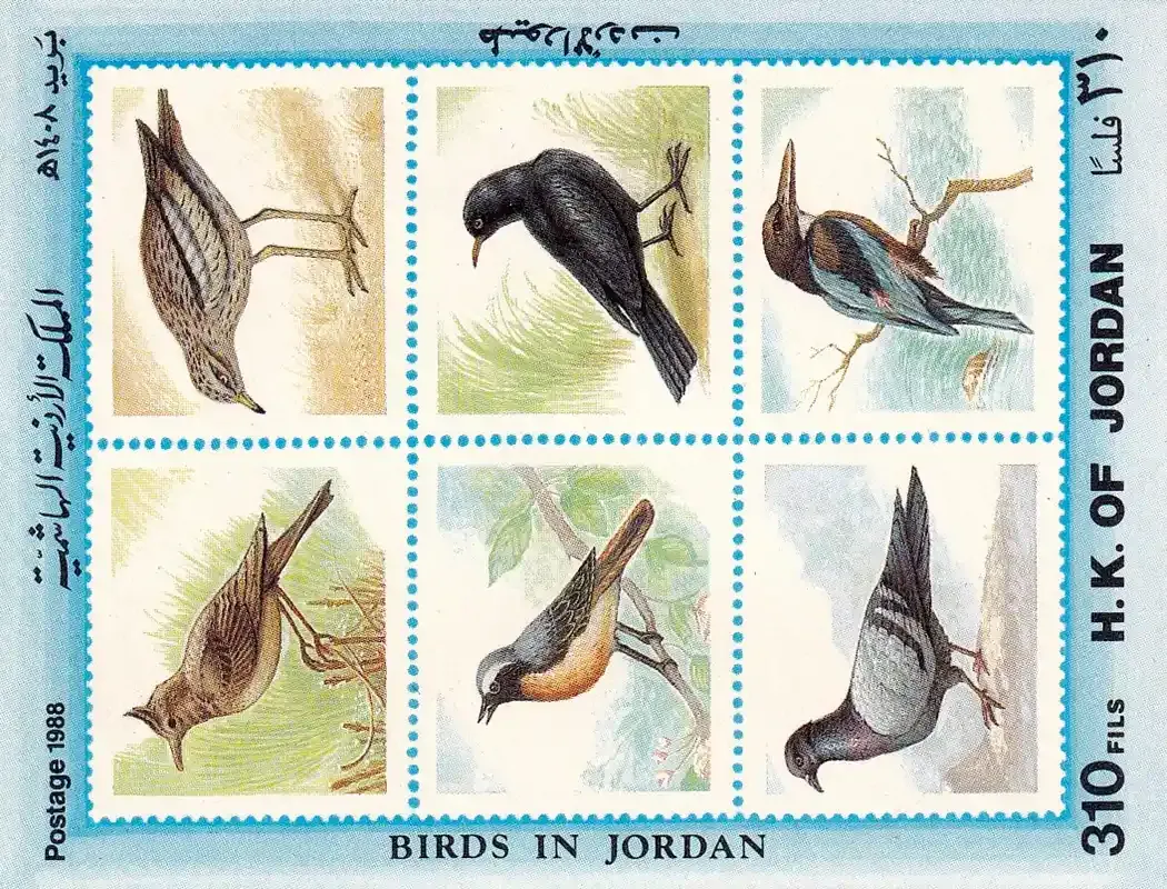 Jordan 1988 Birds. Imperforated MNH (**)