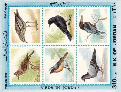 Jordan 1988 Birds. Imperforated MNH (**)