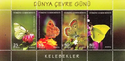 Turkey 2009 World Environment Day - Butterflies. MNH (**)