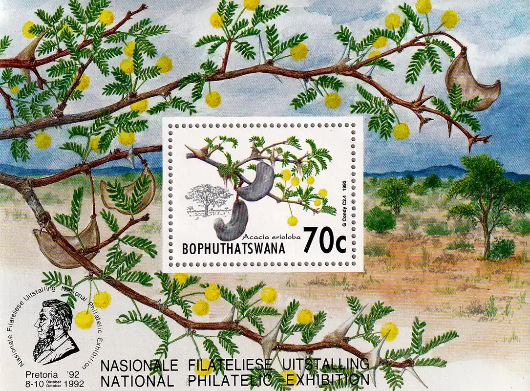 South Africa (Bophuthatswana) 1992 Acacia Trees, Stampshow (SS). MNH(**)