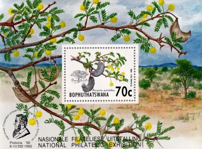 Bophuthatswana 1992 Acacia Trees, Stampshow (SS). MNH(**) Bophuthatswana 1992 Acacia Trees, Stampshow (SS). MNH(**)
