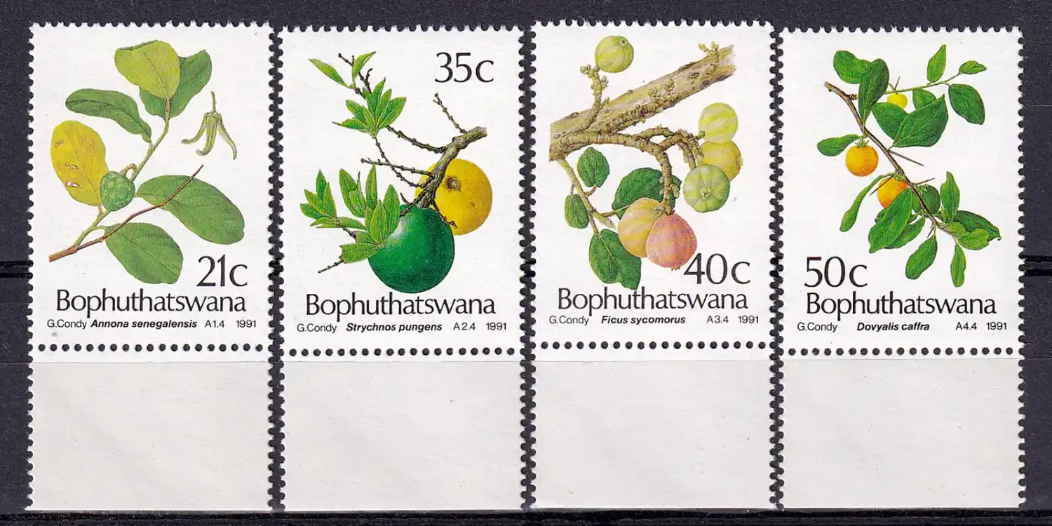 South Africa (Bophuthatswana) 1991 Edible Wild Fruit. MNH(**)