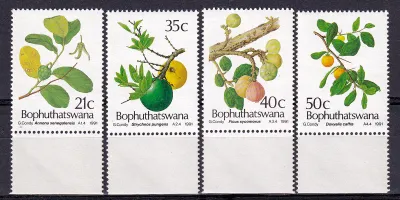 Bophuthatswana 1991 Edible Wild Fruit. MNH(**) Bophuthatswana 1991 Edible Wild Fruit. MNH(**)
