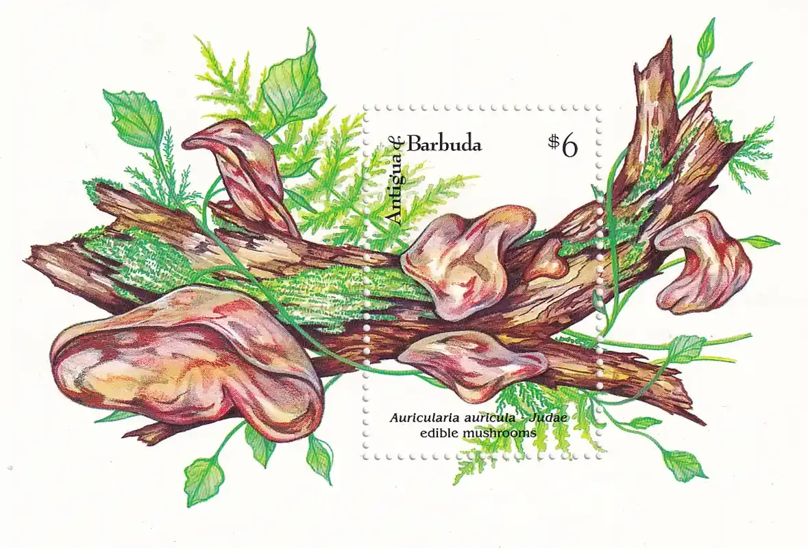 Antigua &amp; Barbuda 1992 Mushrooms (SS). MNH(**)