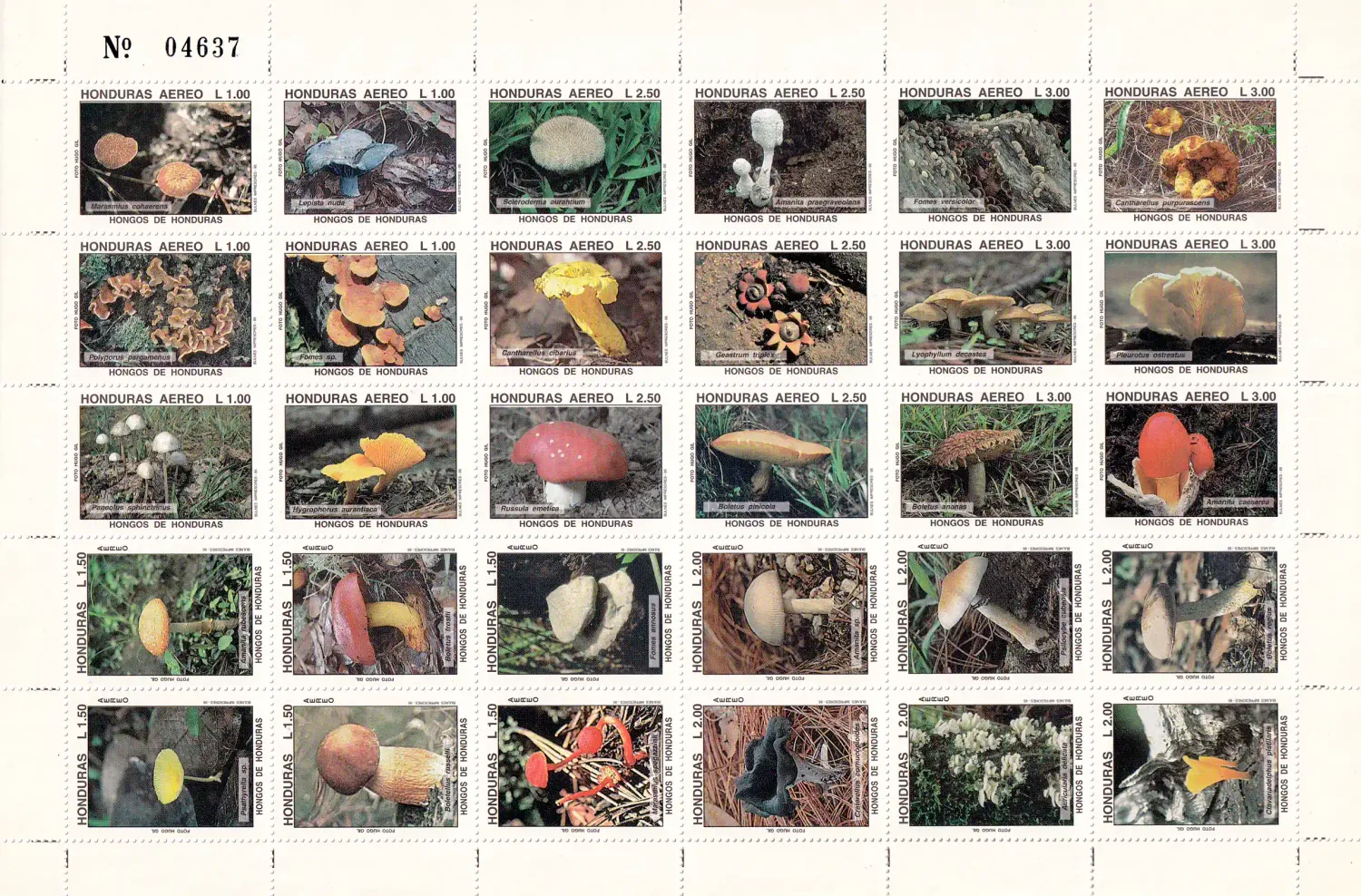 Honduras 1995 Airmail - Fungi, Mushrooms (SS). MNH(**)