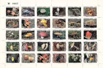 Honduras 1995 Airmail - Fungi, Mushrooms (SS). MNH(**)