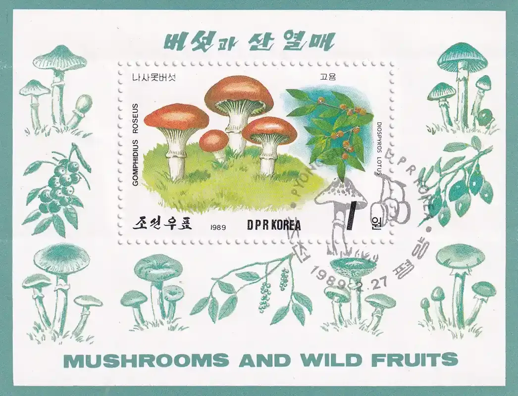 North Korea 1989 Fungi, Mushrooms (SS). MNH(**)
