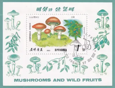 North Korea 1989 Fungi, Mushrooms (SS). MNH(**) North Korea 1989 Fungi, Mushrooms (SS). MNH(**)