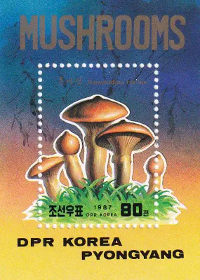 North Korea 1987 Fungi, Mushrooms (SS). MNH(**) North Korea 1987 Fungi, Mushrooms (SS). MNH(**)