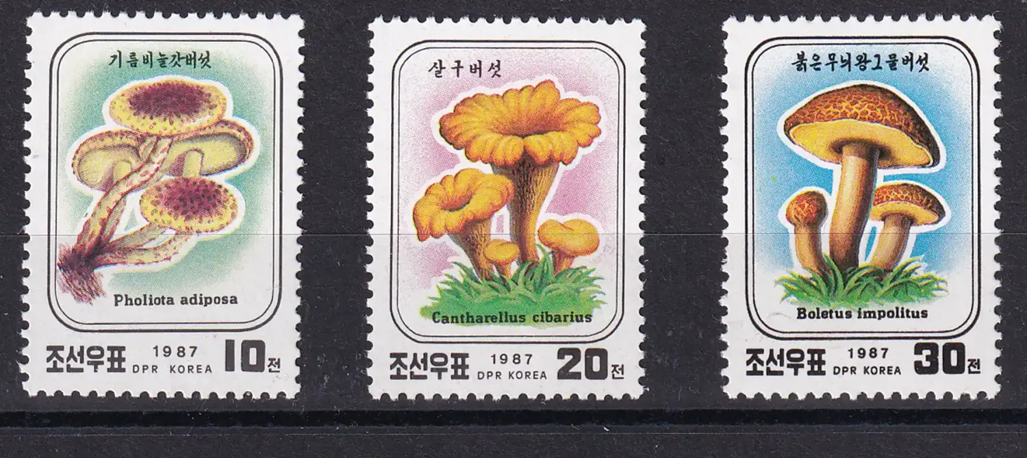 North Korea 1987 Fungi, Mushrooms. MNH(**)