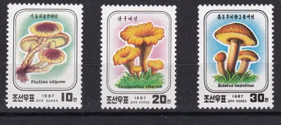 North Korea 1987 Fungi, Mushrooms. MNH(**) North Korea 1987 Fungi, Mushrooms. MNH(**)
