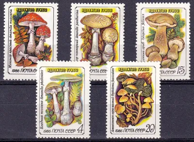 USSR Russia 1986 Fungi, Mushrooms. MNH(**)