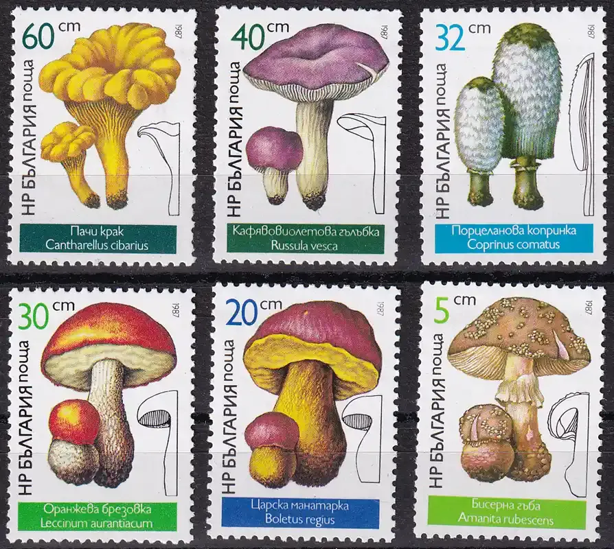 Bulgaria 1987 Fungi, Mushrooms. MNH(**)