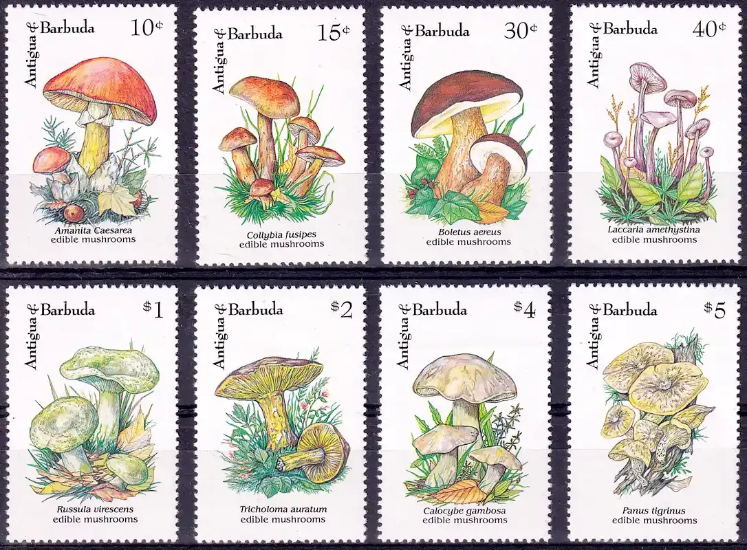 Antigua &amp; Barbuda 1992 Mushrooms. MNH(**)