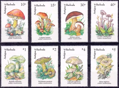 Antigua & Barbuda 1992 Mushrooms. MNH(**) Antigua & Barbuda 1992 Mushrooms. MNH(**)