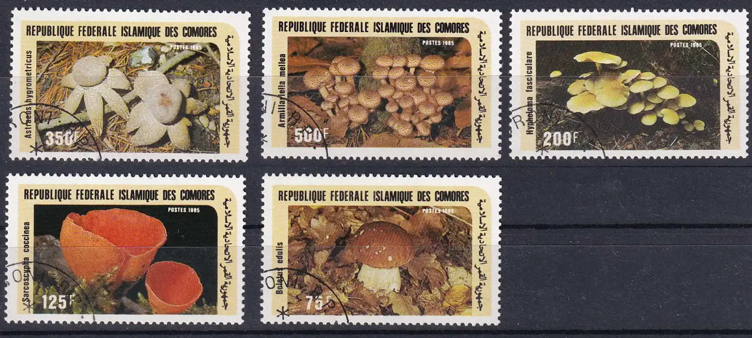 Comoro Islands 1987 Fungi, Mushrooms. CTO NH(**)