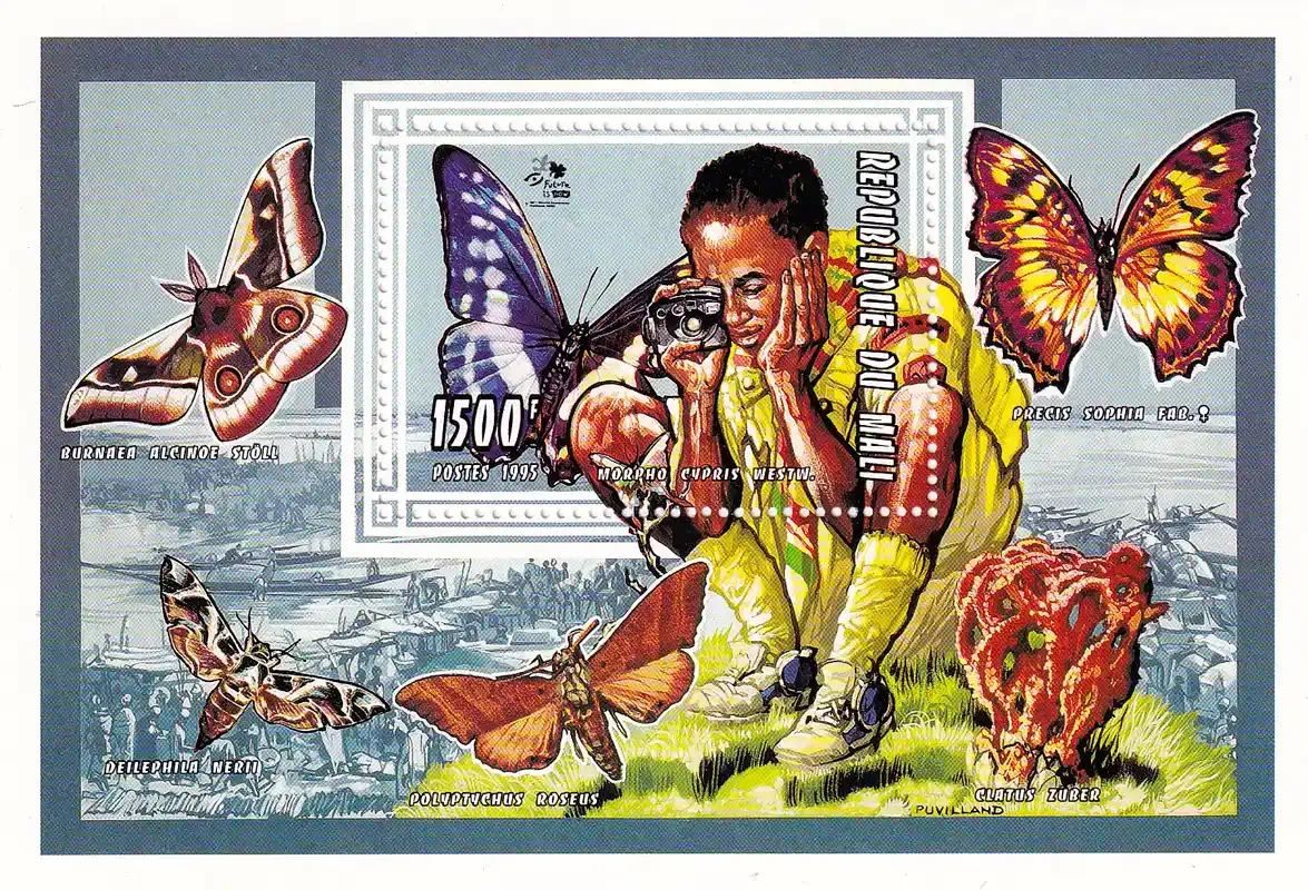 Mali 1995 Scout Jamboree, Butterflies (ss) #1. MNH(**)