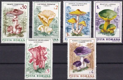 Romania 1986 Mushrooms. MNH(**) Romania 1986 Mushrooms. MNH(**)