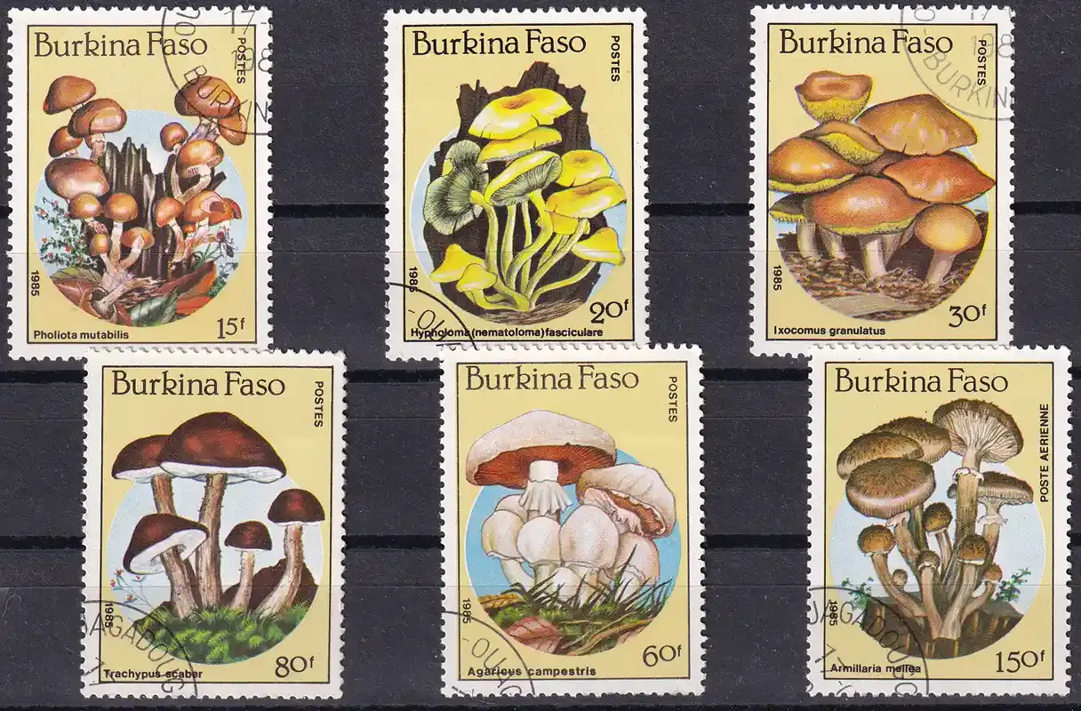 Burkina Faso 1985 Mushrooms. CTO, NH(*)