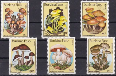 Burkina Faso 1985 Mushrooms. CTO, NH(*) Burkina Faso 1985 Mushrooms. CTO, NH(*)