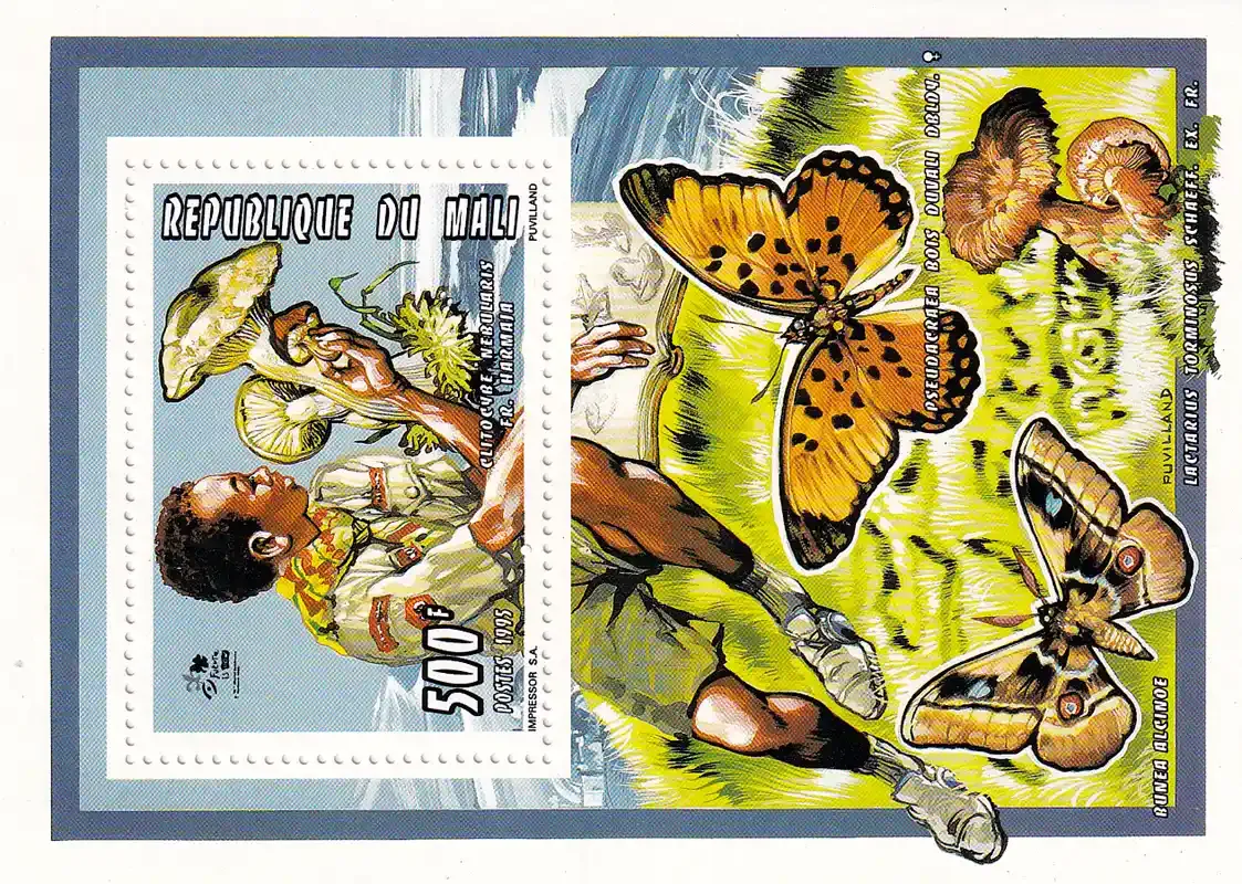 Mali 1995 Scout Jamboree, Butterflies (ss) #4. MNH(**)