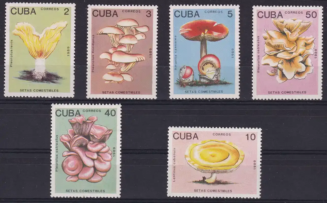 Cuba 1989 Edible Mushrooms. MNH(**)