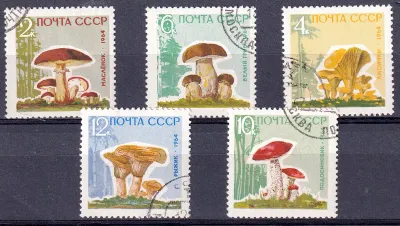 USSR Russia 1964 Mushrooms. CTO, NH(**)