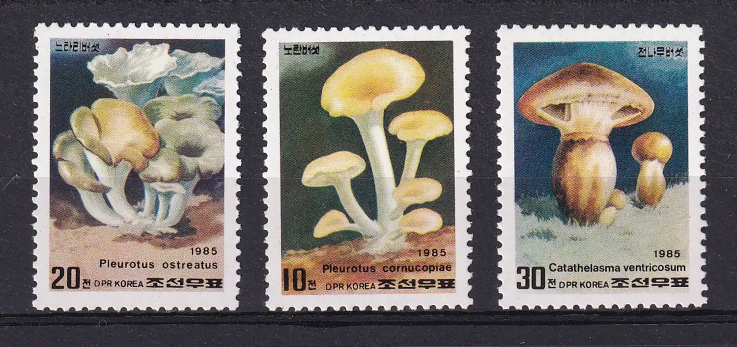 North Korea 1985 Mushrooms. MNH(**)